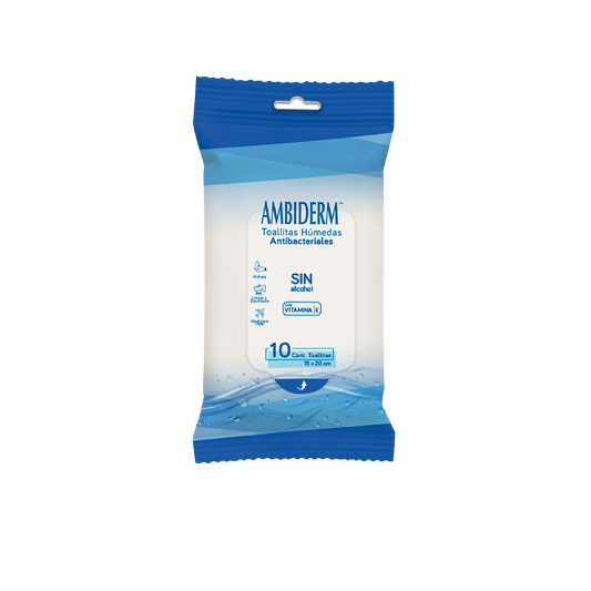 TOALLITAS HUMEDAS (10u)